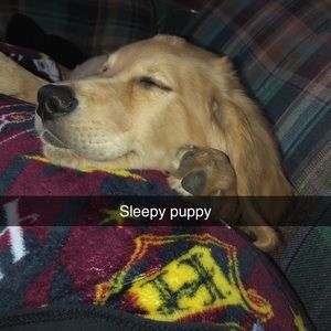 Meet your Posher, Emilee